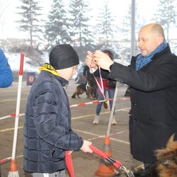 Wystawa Mikołajkowa Owczarków Niemieckich