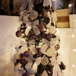 Choinki naszych Czytelników