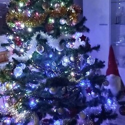 Choinki naszych Czytelników