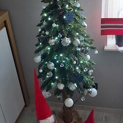 Choinki naszych Czytelników