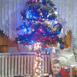 Choinki naszych Czytelników