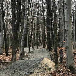 Budżet Obywatelski 2021