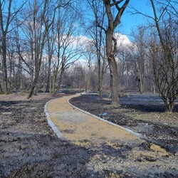 Modernizacja Parku Dworskiego