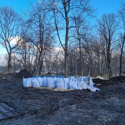 Modernizacja Parku Dworskiego