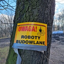 Modernizacja Parku Dworskiego