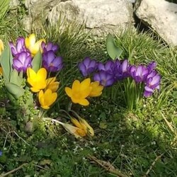 Wiosna w Rudzie Śląskiej