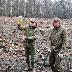 Posadź drzewko z Nadleśnictwem Katowice
