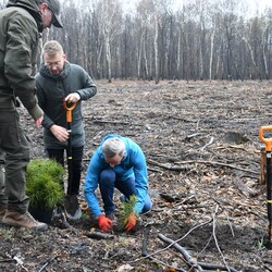 Posadź drzewko z Nadleśnictwem Katowice