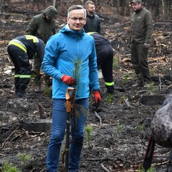 Posadź drzewko z Nadleśnictwem Katowice