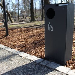 Modernizacja Parku Dworskiego