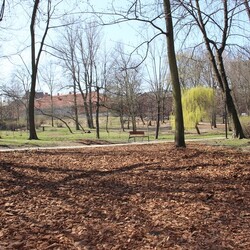 Modernizacja Parku Dworskiego