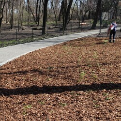 Modernizacja Parku Dworskiego