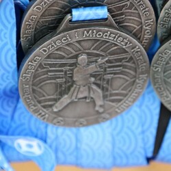 Karatecy spróbowali swoich sił w Halembie