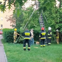 Strażacy z OSP świętowali Dzień Dziecka