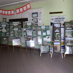 XVII Szkolny Rajd Pieszy