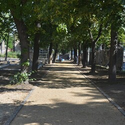 Plac Niepodległosci