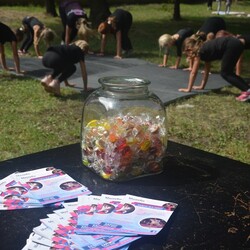 Ogród Śniadaniowy MCK