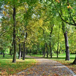 Jesień w Rudzie Śląskiej