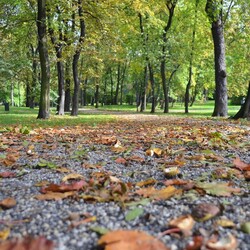 Jesień w Rudzie Śląskiej
