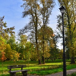 Jesień w Rudzie Śląskiej
