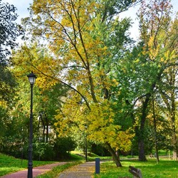 Jesień w Rudzie Śląskiej