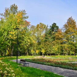 Jesień w Rudzie Śląskiej