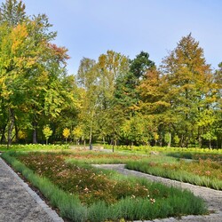 Jesień w Rudzie Śląskiej