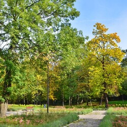 Jesień w Rudzie Śląskiej
