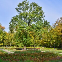 Jesień w Rudzie Śląskiej