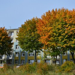 Jesień w Rudzie Śląskiej