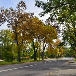 Jesień w Rudzie Śląskiej