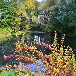 Jesień w Rudzie Śląskiej