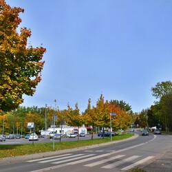 Jesień w Rudzie Śląskiej