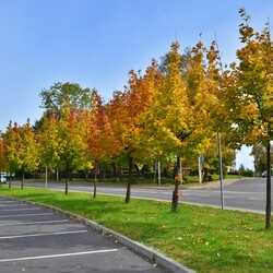 Jesień w Rudzie Śląskiej