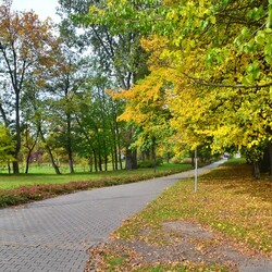 Jesień w Rudzie Śląskiej