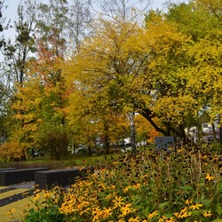 Jesień w Rudzie Śląskiej