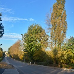 Remont ulicy Czarnoleśnej
