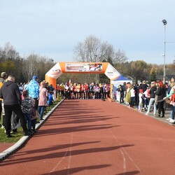 XXIX Biegi Niepodległości