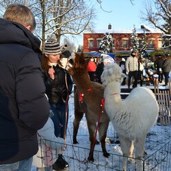 Świąteczne Kochłowice