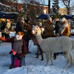 Świąteczne Kochłowice