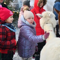 Świąteczne Kochłowice