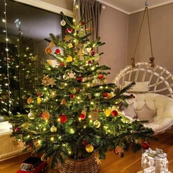 Czar świątecznego drzewka