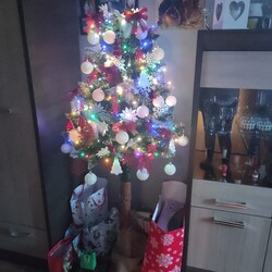 Czar świątecznego drzewka