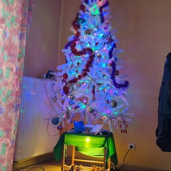 Czar świątecznego drzewka