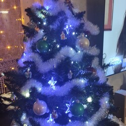 Czar świątecznego drzewka