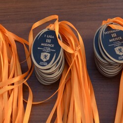 Diablice Rugby Ruda Śląska spadają z Ekstraligi