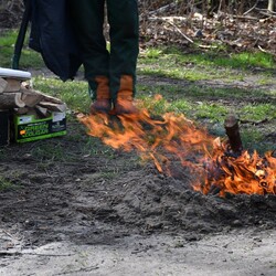 Sadzenie drzew w Halembie