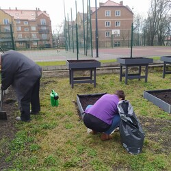 Zielone Muzeum Miejskie
