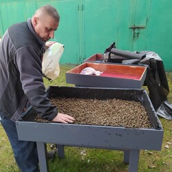 Zielone Muzeum Miejskie