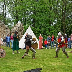 Słowianie w ruinach zamku rudzkiego